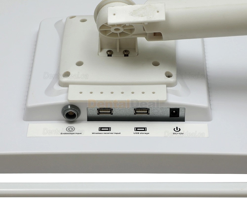 Magenta YFHD-D Intraoral Camera with 17 Inch Monitor & Bracket 1/4 sony CCD